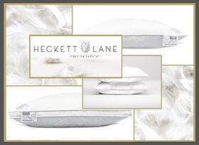 Heckettlane Punt hoofdkussen 100% Witte ganzenveertjes is licht en flexibel van gewicht