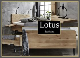 Lotus ledikant met voetenbord Details
